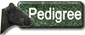 Mycca Pedigree